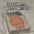 디자인팝호텔 | 칭다오 완샹청 믹스몰 에그타르트 팝마트 라부부 미니소 추천템 쇼핑리스트