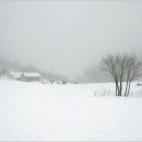 서정적인 이미지