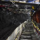 비옥상회 이미지