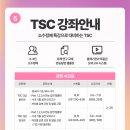 리즈랭귀지