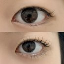 부천로245번길 | 신중동 속눈썹펌 아름다운 속눈썹