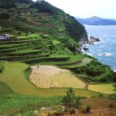 다랭이마을 이미지