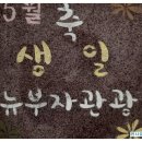 뉴부자관광 이미지