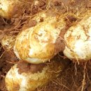 오장농장 이미지