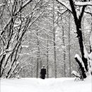 도시로 떠나는 문학여행 이미지