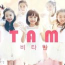 비타민청과 - 전주시 완산구 척동9길 9-2 | 비타민청과
