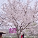 안전교육코스 | 동력수상레저기구 조종면허 갱신 안전교육 후기