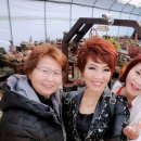 강화군장애인단체총연합회 이미지