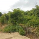 용산1리(큰골) 이미지