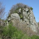 지양곡연대봉등산로 이미지