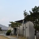 큐브 풀빌라 | 양평애견펜션 더큐브애견풀빌라 솔직한 후기 넓은 애견운동장 수영장 계곡까지 완벽했던 !