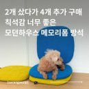 호텔폼 | 착석감 좋은 집들이 방석 | 모던하우스 마이호텔 메모리폼 방석 내돈내산 솔직 후기