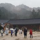 여주-1022 이미지