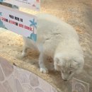 초원동물약품 | 금천 동물원 키즈카페 쥬라리움 금천점 주말 할인