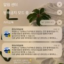 20대를 보내며, 잘가 2024