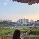 동백내과의원 이미지