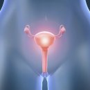 맑은숲한사랑한의원 이미지