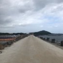 9월에 떠난 제주 올레길 2코스 후기 ( 식산봉 / 오조리마을회관 / 대수산봉 )