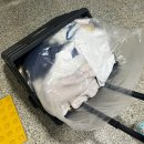 코인워시24 빨래터 이미지