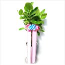 신대방수연약국 이미지