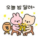 진악산오토캠핑장 이미지