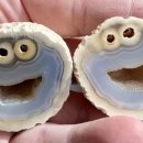 몬스터쿠키 이미지