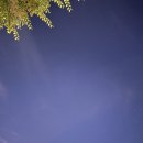 대아주유소 이미지