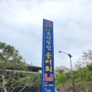 P-6109 | [가평맛집] 신선하고 맛있었던 &#39;소나무집 송어회&#39;