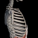 리빌드 바디 상일동역점 이미지