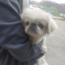 가덕중학교 이미지