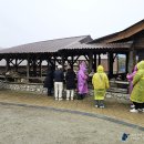 삼성목장 이미지