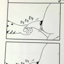 고양이 발바닥 이미지