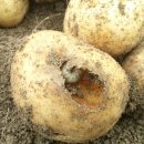 에그머니농장 이미지