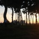 태호 골프연습장 이미지