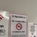 포그난 - 양산시 반회서6길 7 | 제천 모텔 버스터미널 숙소 리모델링 호텔 포그난 후기