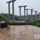 나성동_다정교 이미지