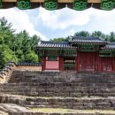 올갱이나라 이미지