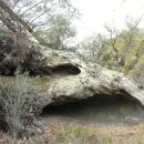 트윈목장 이미지