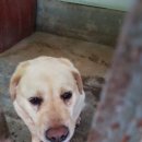 돌우물길 이미지