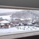 선자농장 | 평창 대관령 실버벨교회 위치·주차·방문 후기