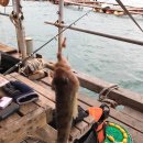 대호낚시터 이미지