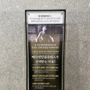메디정필라테스 | 파주운정필라테스 메디앤컬필라테스 1:1 후기
