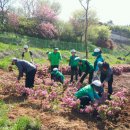 와부읍 팔당1리 이미지