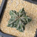 온주농장 이미지