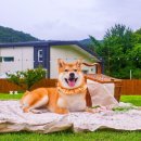 스테이 감동 이미지