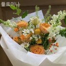 플로이나
