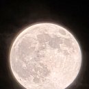 ⚪️ 짱기여운 이메다 구슬이🤍 레제머리🤎 묶쥬는 늘 진리👍 슈퍼문🌕 보고 소원 빌어보세요😎 이번 주 기대합니다 😃 이미지