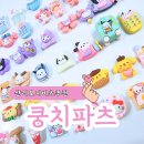 투명 지비츠 비누공예 | 산리오지비츠 맛집 쿵치파츠 크록스지비츠