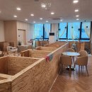 댕스텔 | 댕스텔 선택 전 볼 핵심 정보