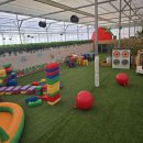 원뜰농장 | [이천 아이랑 가볼만한곳] 백사 '베리의뜰' 딸기체험농장 주말 방문 찐 후기! 🍓